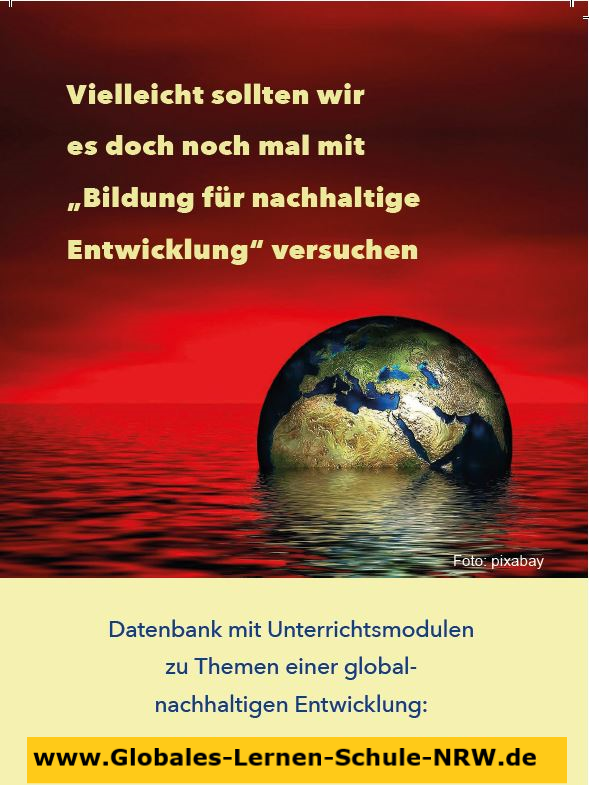 Weltkugel, die vor einem roten Himmel im Wasser untergeht mit dem Slogan "Vielleicht sollten wir es doch nochmal mit Bildung für nachhaltige Entwicklung versuchen"